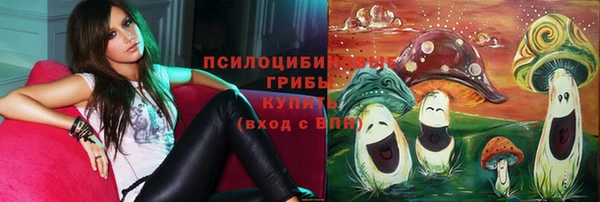 кристаллы Ельня