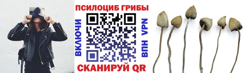 Псилоцибиновые грибы мухоморы  Купить закладки  Лукоянов 